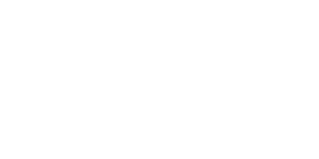 the guardian